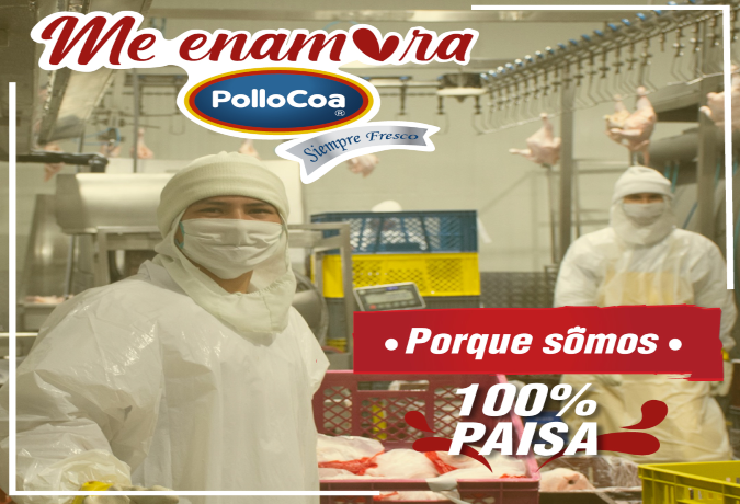 Últimas ofertas publicadas